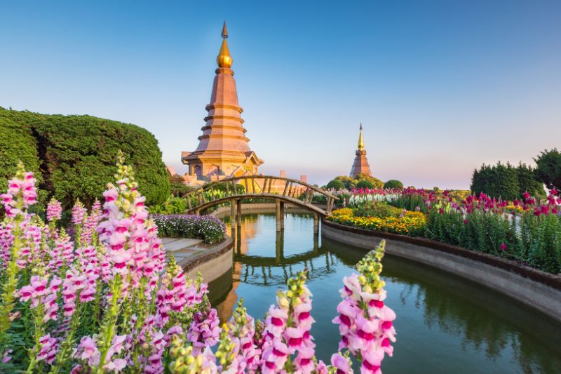 Untitled design - 2025-11-14T114811.247